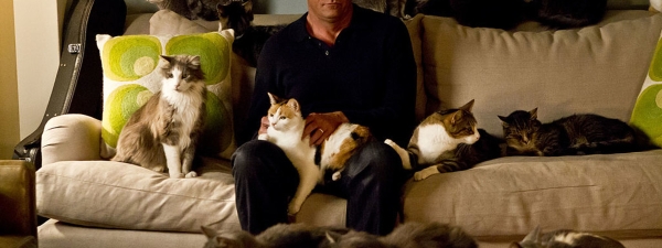 
            Жизнь с котами как психическая патология                                 