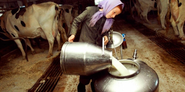 В Волковыске будут судить заведующую МТК