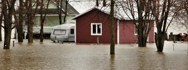 Жители Волковыска оказались заблокированными на своих дачах
Жители Волковыска оказались заблокированными на своих дачах