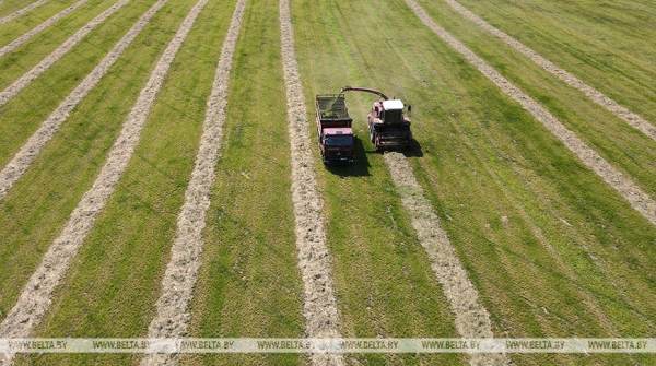 Травы второго укоса в Беларуси скошены почти на 83 тыс. га Травы второго укоса в Беларуси скошены почти на 83 тыс. га