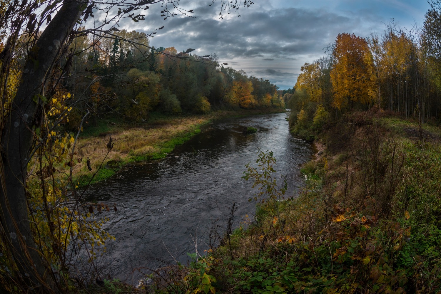«Я будущую дочку назову твоим прекрасным именем — Лучёса» «Я будущую дочку назову твоим прекрасным именем — Лучёса»