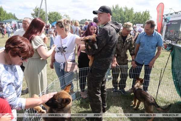 ФОТОРЕПОРТАЖ: Праздник "Купалье" ("Александрия собирает друзей") прошел в Шкловском районе ФОТОРЕПОРТАЖ: Праздник "Купалье" ("Александрия собирает друзей") прошел в Шкловском районе