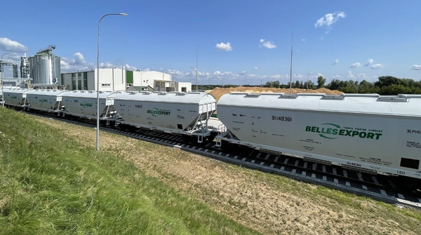 Индивидуальный подход к каждому. УП "БЕЛЛЕСЭКСПОРТ" увеличивает объемы экспорта