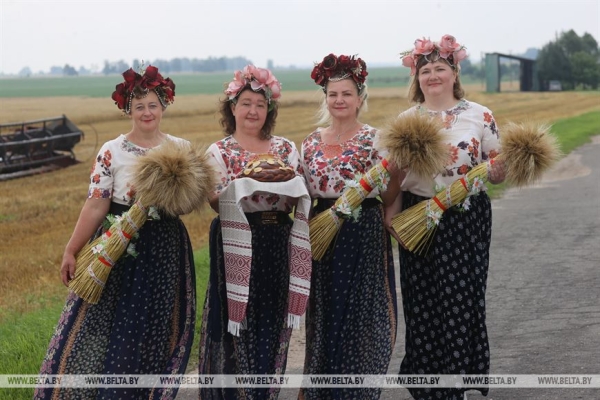 "Мы не ошиблись". Вице-премьер об увеличении посевов озимого ячменя