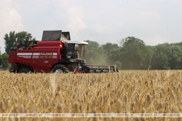 "Мы не ошиблись". Вице-премьер об увеличении посевов озимого ячменя