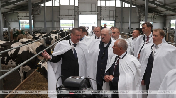 Лукашенко: наша задача - за пятилетку уйти от этих диких ферм и построить технологичные комплексы Лукашенко: наша задача - за пятилетку уйти от этих диких ферм и построить технологичные комплексы