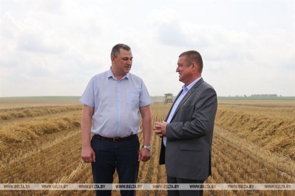 "Мы не ошиблись". Вице-премьер об увеличении посевов озимого ячменя