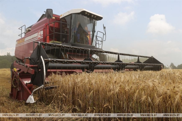 "Мы не ошиблись". Вице-премьер об увеличении посевов озимого ячменя