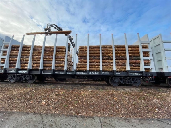 Индивидуальный подход к каждому. УП "БЕЛЛЕСЭКСПОРТ" увеличивает объемы экспорта