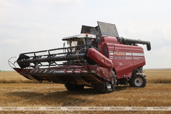 "Мы не ошиблись". Вице-премьер об увеличении посевов озимого ячменя