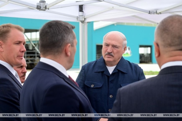 Окно возможностей, большое молоко, эксперименты на полях и спасенный базар. Итоги фестивальной недели Президента Окно возможностей, большое молоко, эксперименты на полях и спасенный базар. Итоги фестивальной недели Президента