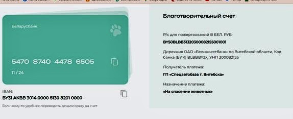 Витебскому приюту для животных «Добрик» — 12 лет