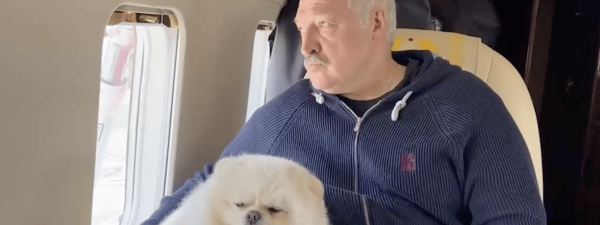 
            «Вот что ты будешь делать, опять у нас три процента. Это просто магия какая-то»                                