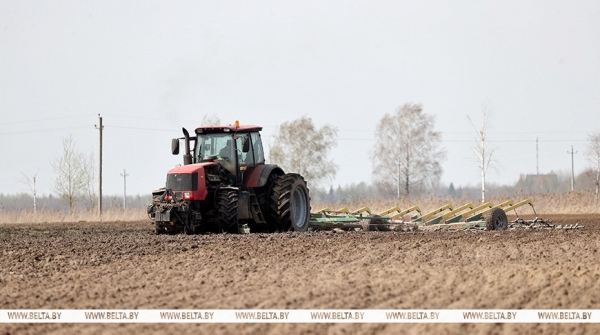 Ранние яровые зерновые в Беларуси посеяли более чем на 88% площадей 