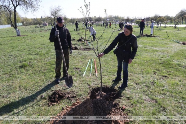 ФОТОРЕПОРТАЖ: Республиканский субботник прошел в Беларуси
