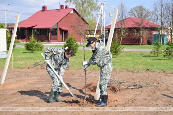 "Белорусское сладкое" и "Сябрына". Лукашенко проводит субботник на своей малой родине