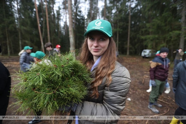 Копаем глубоко, высаживаем бережно. Команда БЕЛТА помогла восстановить лес в Столбцовском районе Копаем глубоко, высаживаем бережно. Команда БЕЛТА помогла восстановить лес в Столбцовском районе