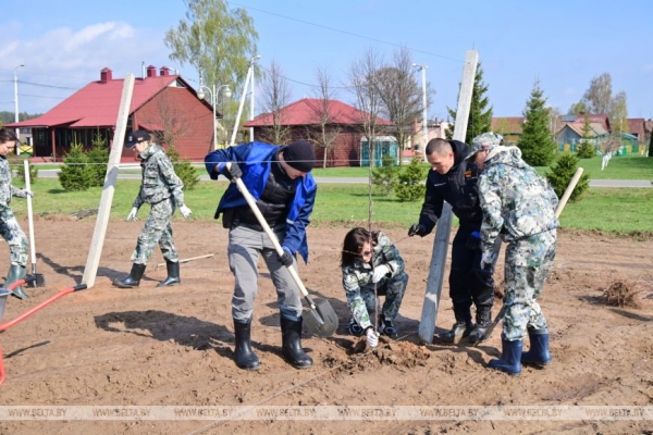 "Белорусское сладкое" и "Сябрына". Лукашенко проводит субботник на своей малой родине