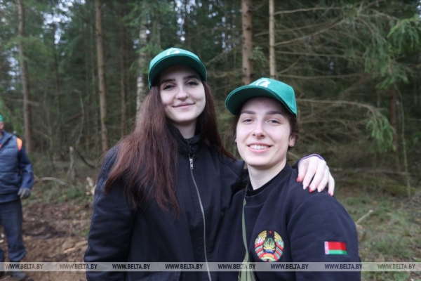 Копаем глубоко, высаживаем бережно. Команда БЕЛТА помогла восстановить лес в Столбцовском районе Копаем глубоко, высаживаем бережно. Команда БЕЛТА помогла восстановить лес в Столбцовском районе