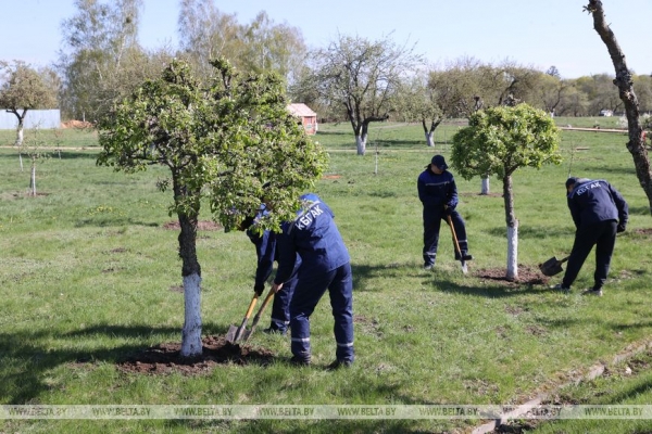 ФОТОРЕПОРТАЖ: Республиканский субботник прошел в Беларуси