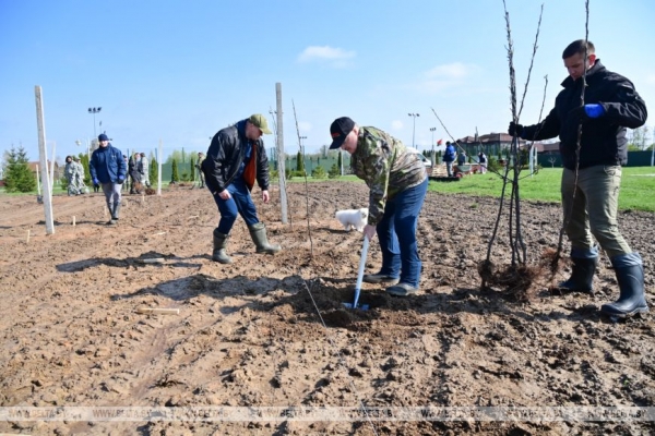 ФОТОРЕПОРТАЖ: Республиканский субботник прошел в Беларуси