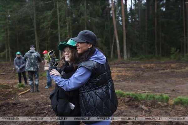 Копаем глубоко, высаживаем бережно. Команда БЕЛТА помогла восстановить лес в Столбцовском районе Копаем глубоко, высаживаем бережно. Команда БЕЛТА помогла восстановить лес в Столбцовском районе