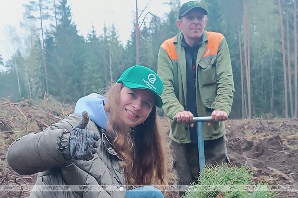 Копаем глубоко, высаживаем бережно. Команда БЕЛТА помогла восстановить лес в Столбцовском районе Копаем глубоко, высаживаем бережно. Команда БЕЛТА помогла восстановить лес в Столбцовском районе