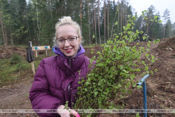 Копаем глубоко, высаживаем бережно. Команда БЕЛТА помогла восстановить лес в Столбцовском районе Копаем глубоко, высаживаем бережно. Команда БЕЛТА помогла восстановить лес в Столбцовском районе