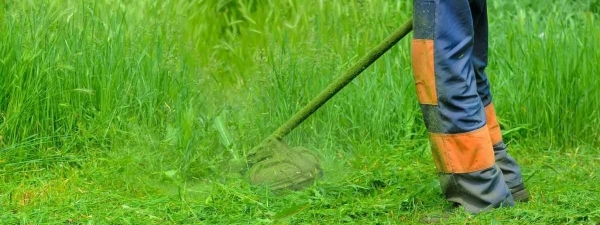 Когда косить траву после зимы? Эти дни и температура гарантируют красивый газон летом — Полезно                                 
            Когда косить траву после зимы? Эти дни и температура гарантируют красивый газон летом — Полезно