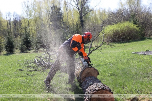 ФОТОРЕПОРТАЖ: Республиканский субботник прошел в Беларуси