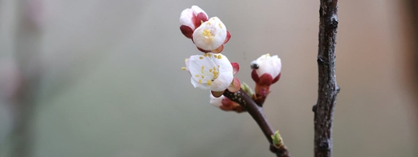 Теплее, чем обычно, но с короткими дождями. Какой будет погода в Беларуси на наступившей неделе                                 
            Теплее, чем обычно, но с короткими дождями. Какой будет погода в Беларуси на наступившей неделе