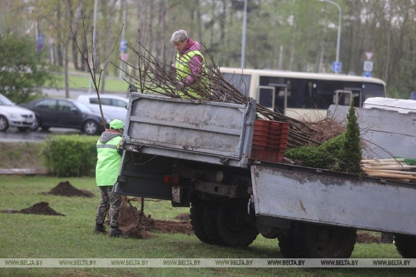 ФОТОРЕПОРТАЖ: Республиканский субботник прошел в Беларуси