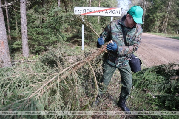 ФОТОРЕПОРТАЖ: Республиканский субботник прошел в Беларуси
