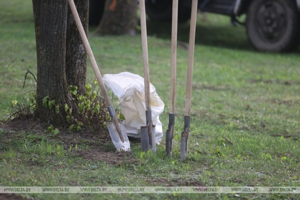 ФОТОРЕПОРТАЖ: Республиканский субботник прошел в Беларуси