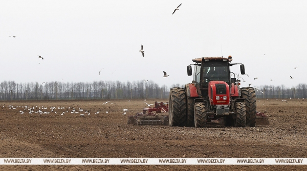 Головченко: весенний сев должен быть проведен в оптимальные сроки с соблюдением всех требований