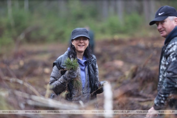 Копаем глубоко, высаживаем бережно. Команда БЕЛТА помогла восстановить лес в Столбцовском районе Копаем глубоко, высаживаем бережно. Команда БЕЛТА помогла восстановить лес в Столбцовском районе