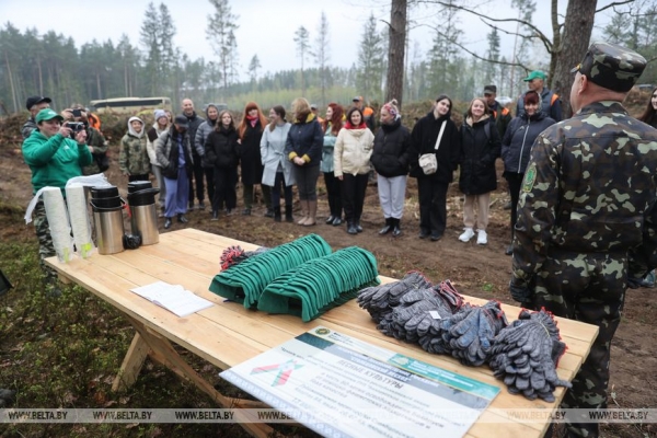Копаем глубоко, высаживаем бережно. Команда БЕЛТА помогла восстановить лес в Столбцовском районе Копаем глубоко, высаживаем бережно. Команда БЕЛТА помогла восстановить лес в Столбцовском районе