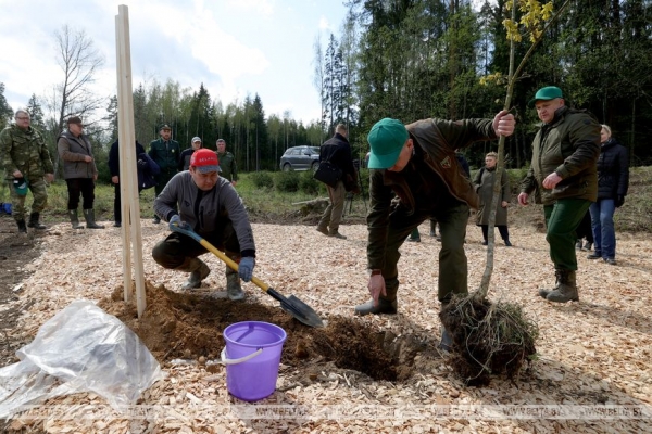 ФОТОРЕПОРТАЖ: Республиканский субботник прошел в Беларуси